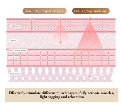 BiPolar EMS Toning Device