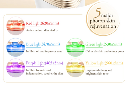 BiPolar EMS Toning Device